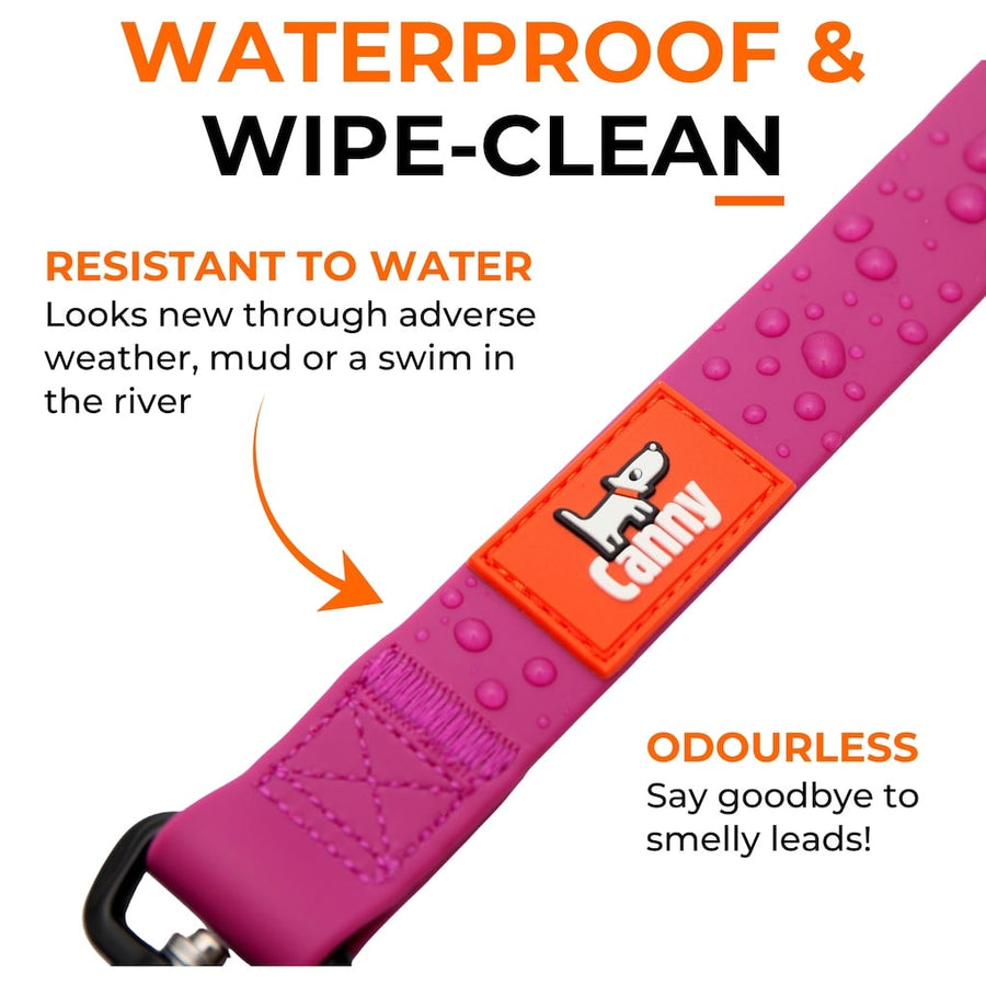 Dog Leads & Collars