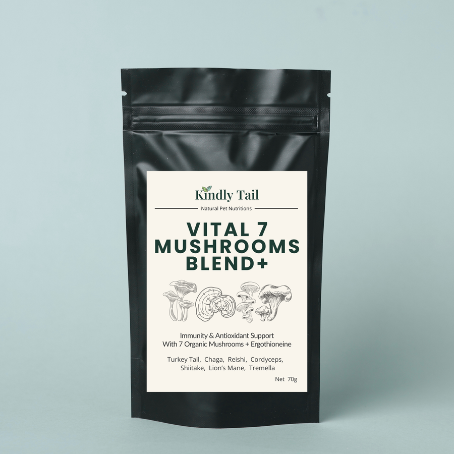 Pet Supplements