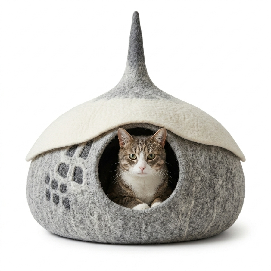 Pet Accessories