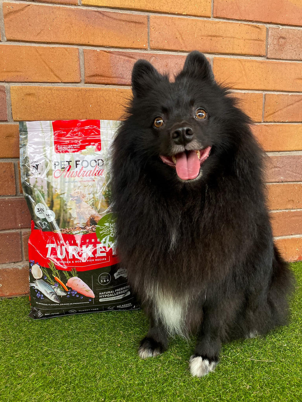 Turkey Dog Food Collective