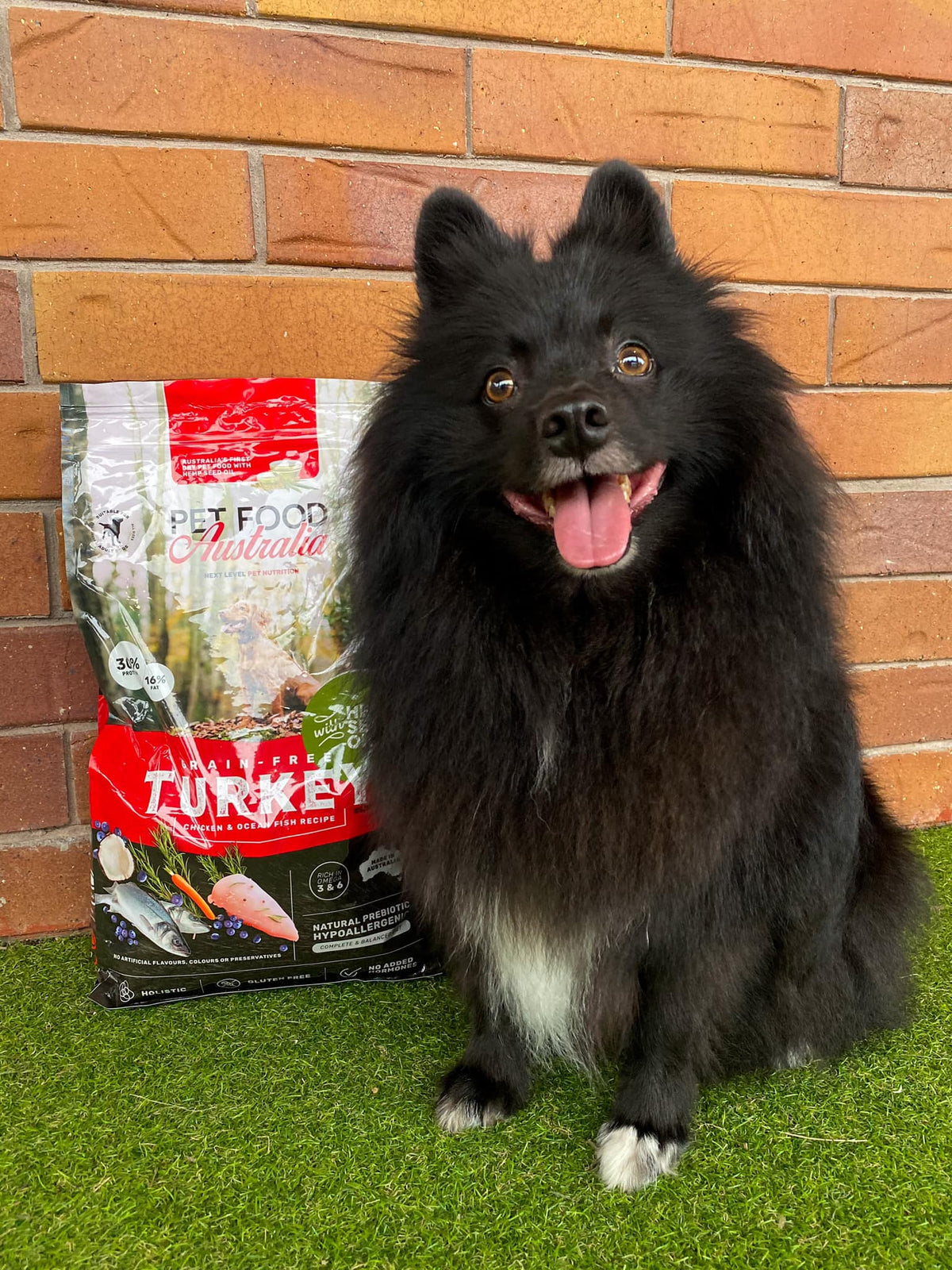 Turkey Dog Food Collective