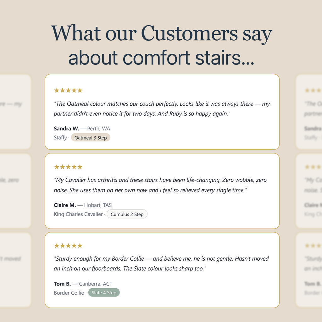 Injury Prevention Comfort Stairs by CloudPaws