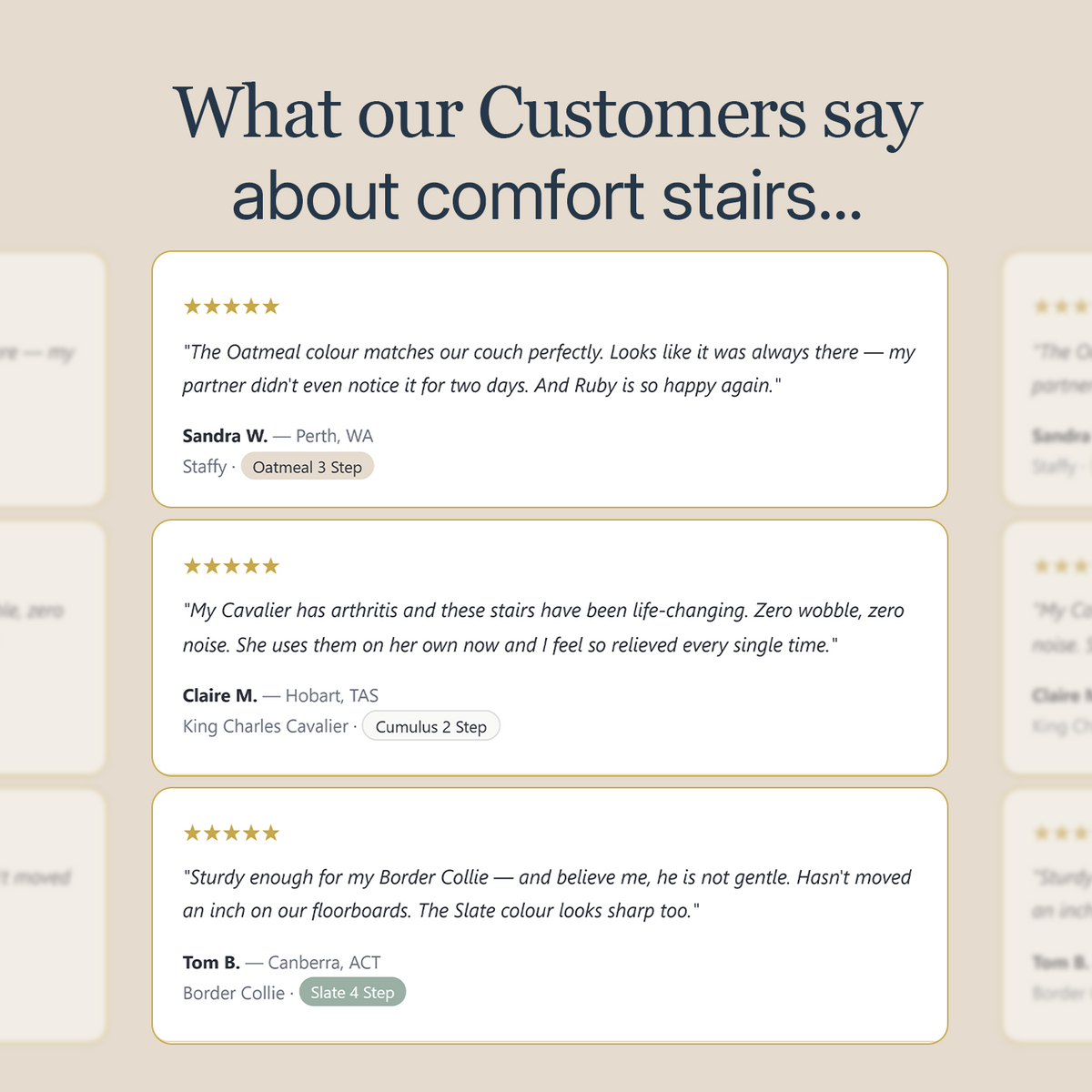 Injury Prevention Comfort Stairs by CloudPaws