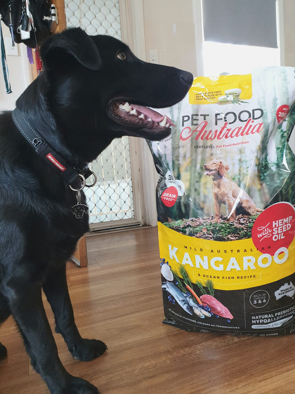 Kangaroo & Ocean Fish Dry Food Collective