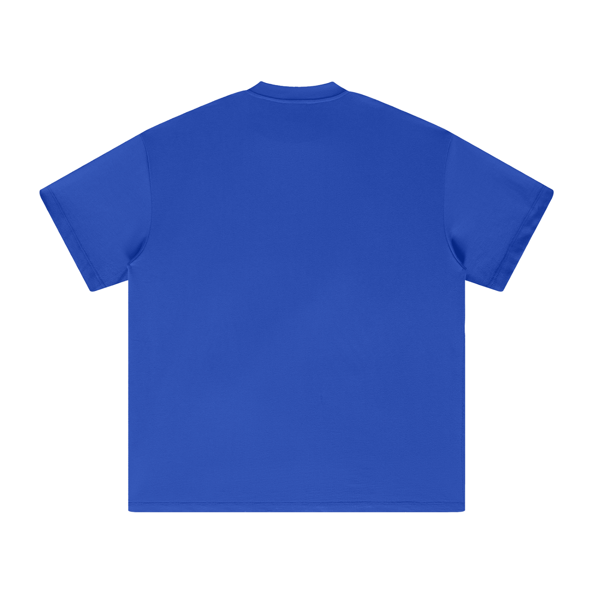 Unisex heavyweight Earth Tone T-shirt in Colourful Blue – back product view