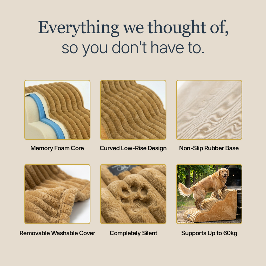 Injury Prevention Comfort Stairs by CloudPaws