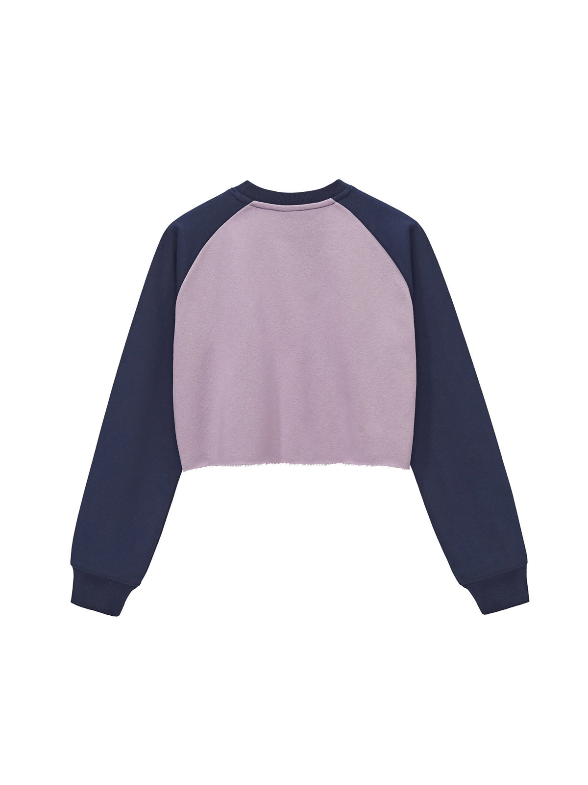 Raw-Hem Colour-Block Raglan Crop Sweatshirt