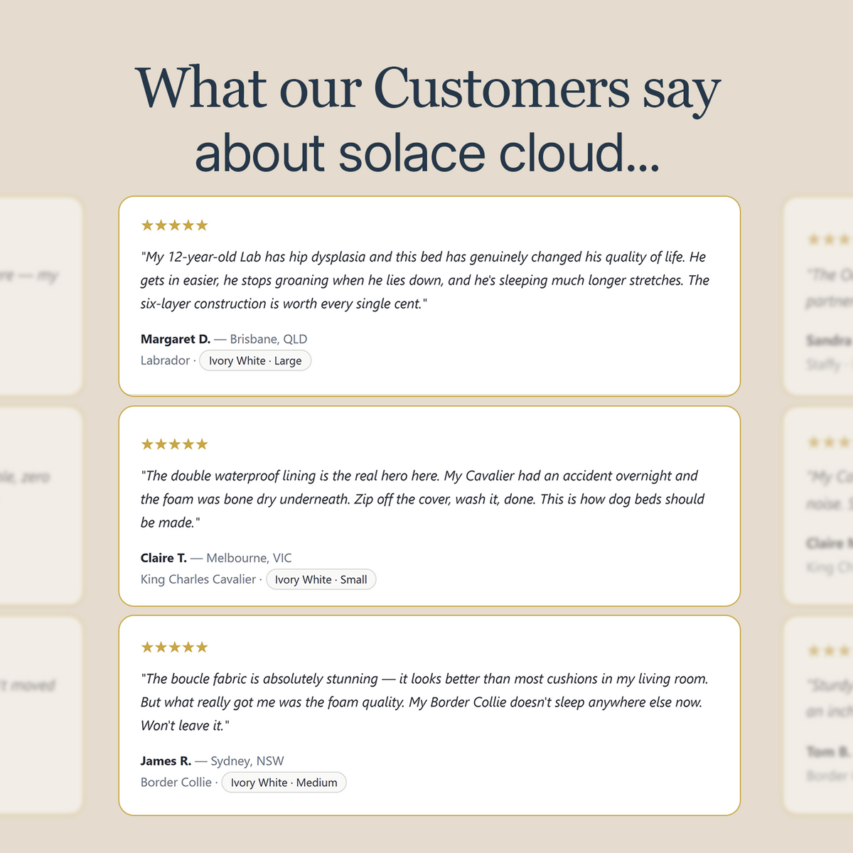 The Solace Cloud by CloudPaws