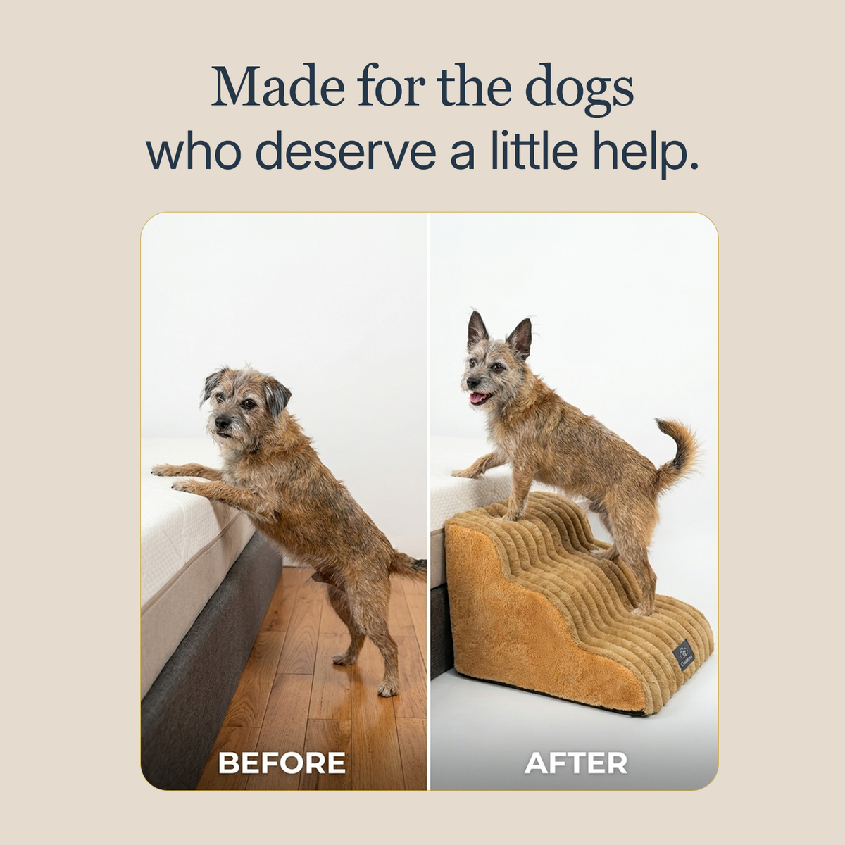 Injury Prevention Comfort Stairs by CloudPaws