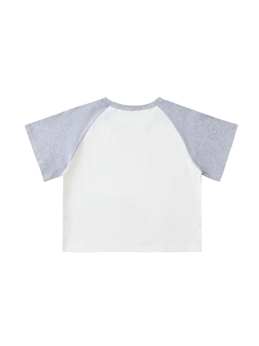 Color-Blocked Raglan Sleeve Crop Top