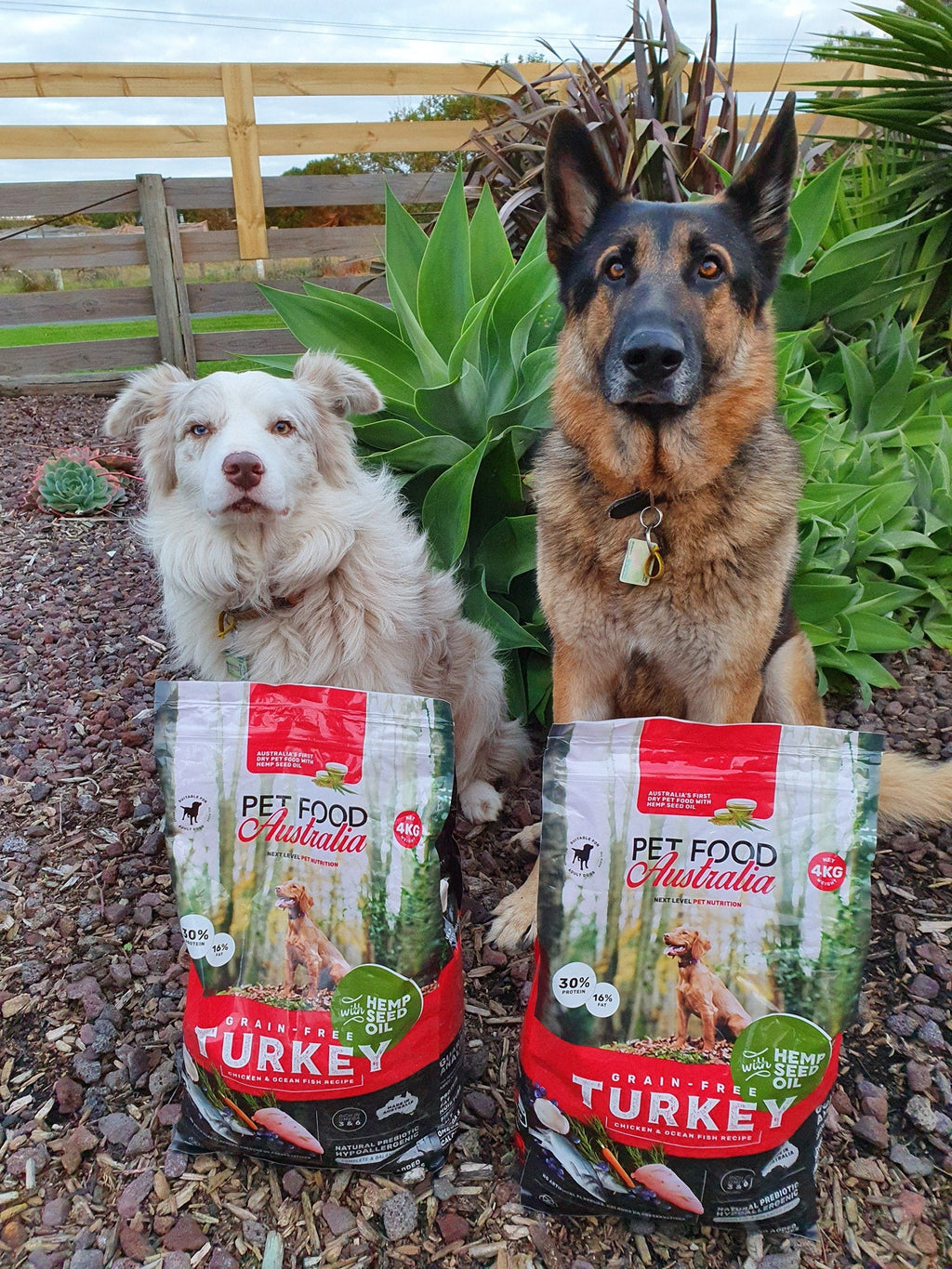 Turkey Dog Food Collective