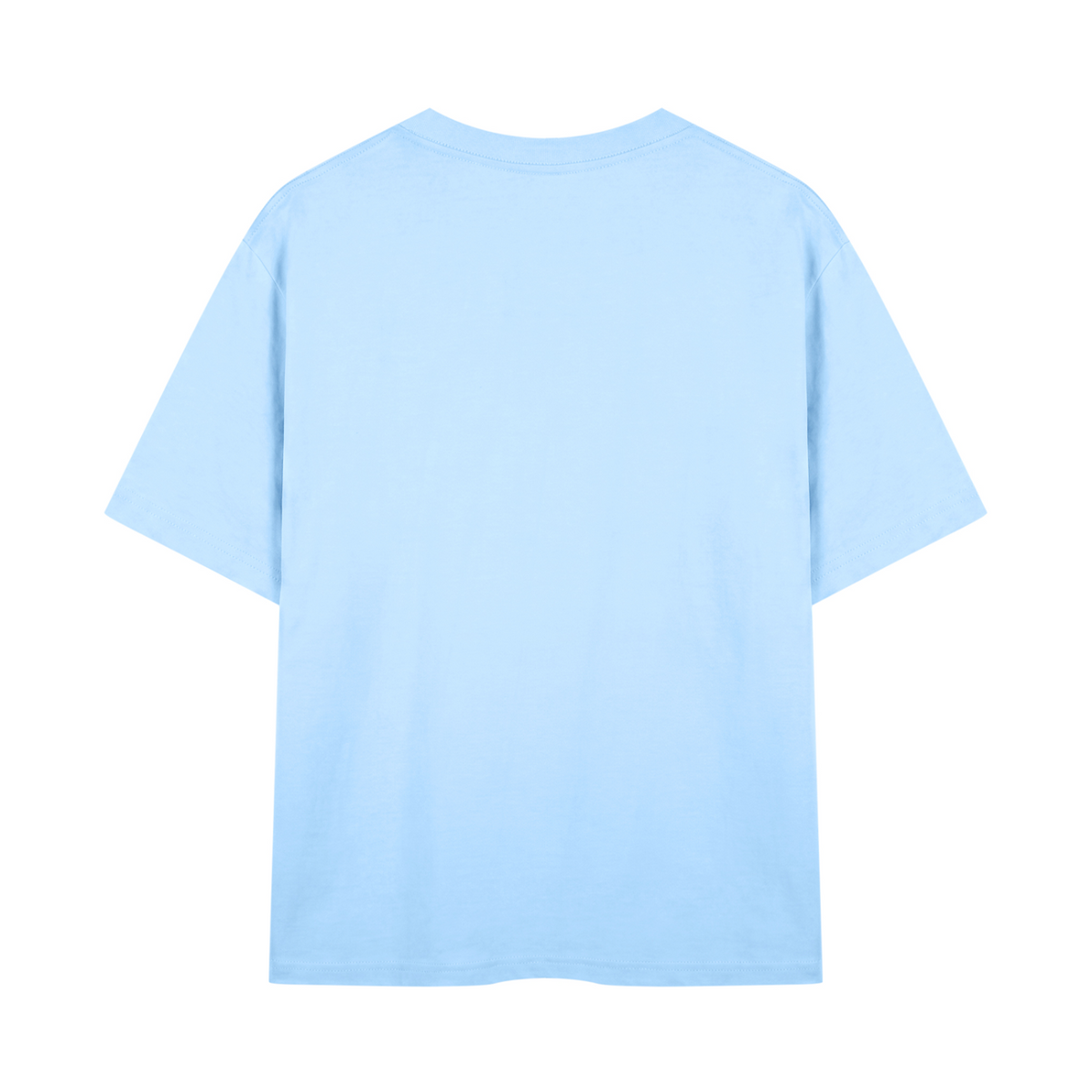 Government Very Bad Would Not Recommend unisex graphic T-shirt – Sky Blue back Mockup view