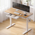 Artiss Motorised Standing Desk with Storage Drawer 120cm Wood White