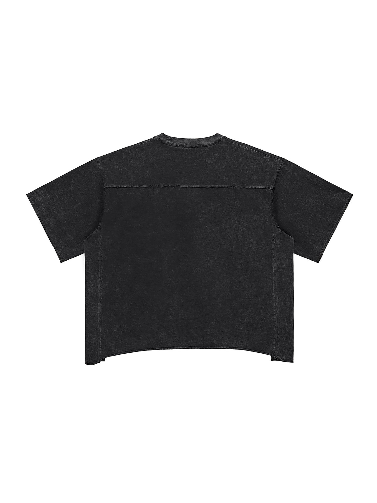 Raw Edge Snow Washed Boxy T-Shirt gallery image 20