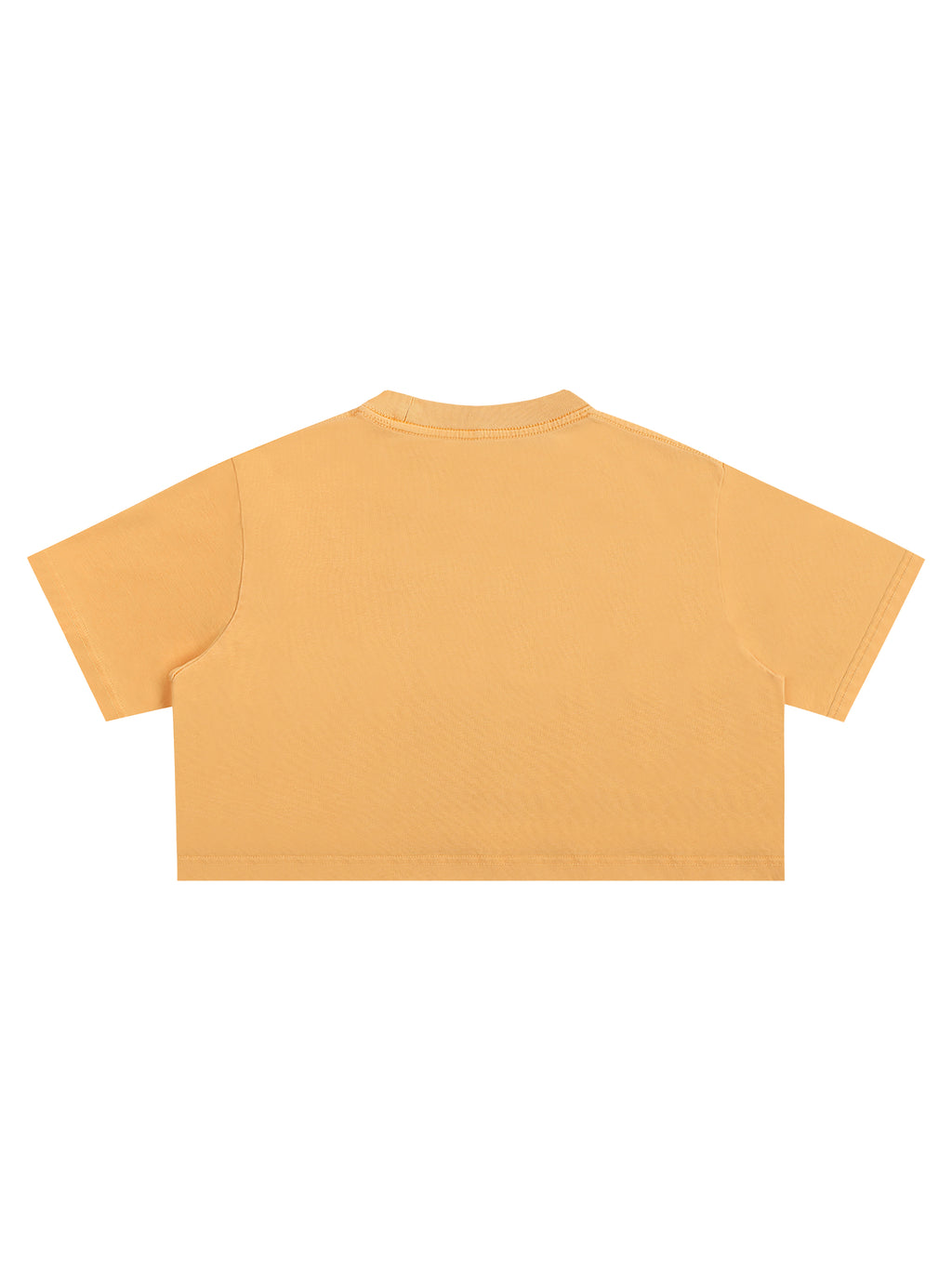 Snow Washed Crop Top – additional product view 10