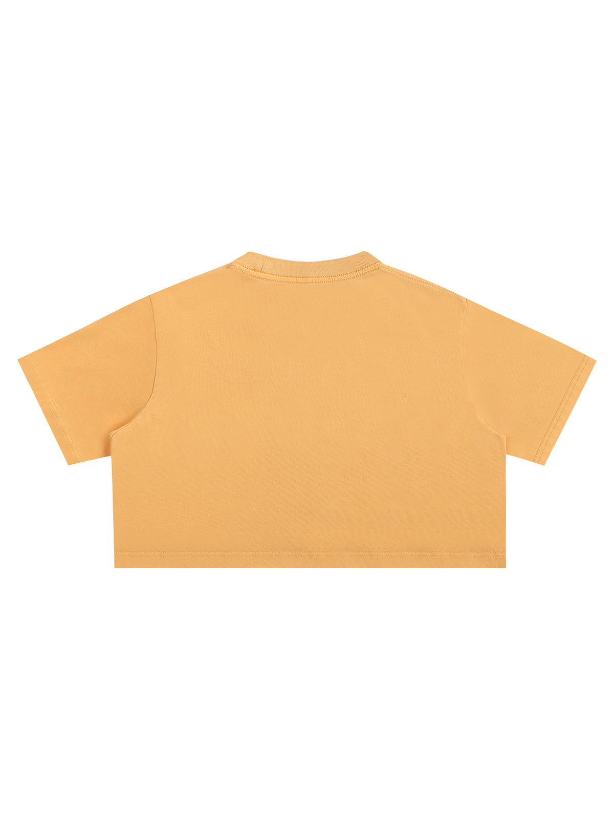 Snow Washed Crop Top – additional product view 10