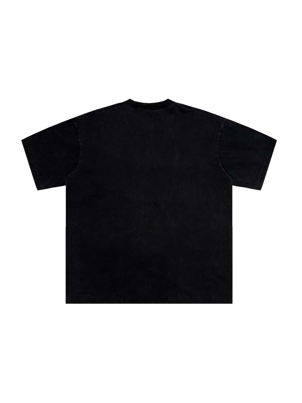 Snow Washed Raw-Edge Neckline T-Shirt – additional product view 13