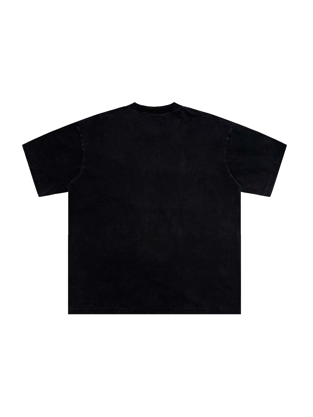 Snow Washed Raw-Edge Neckline T-Shirt – additional product view 13