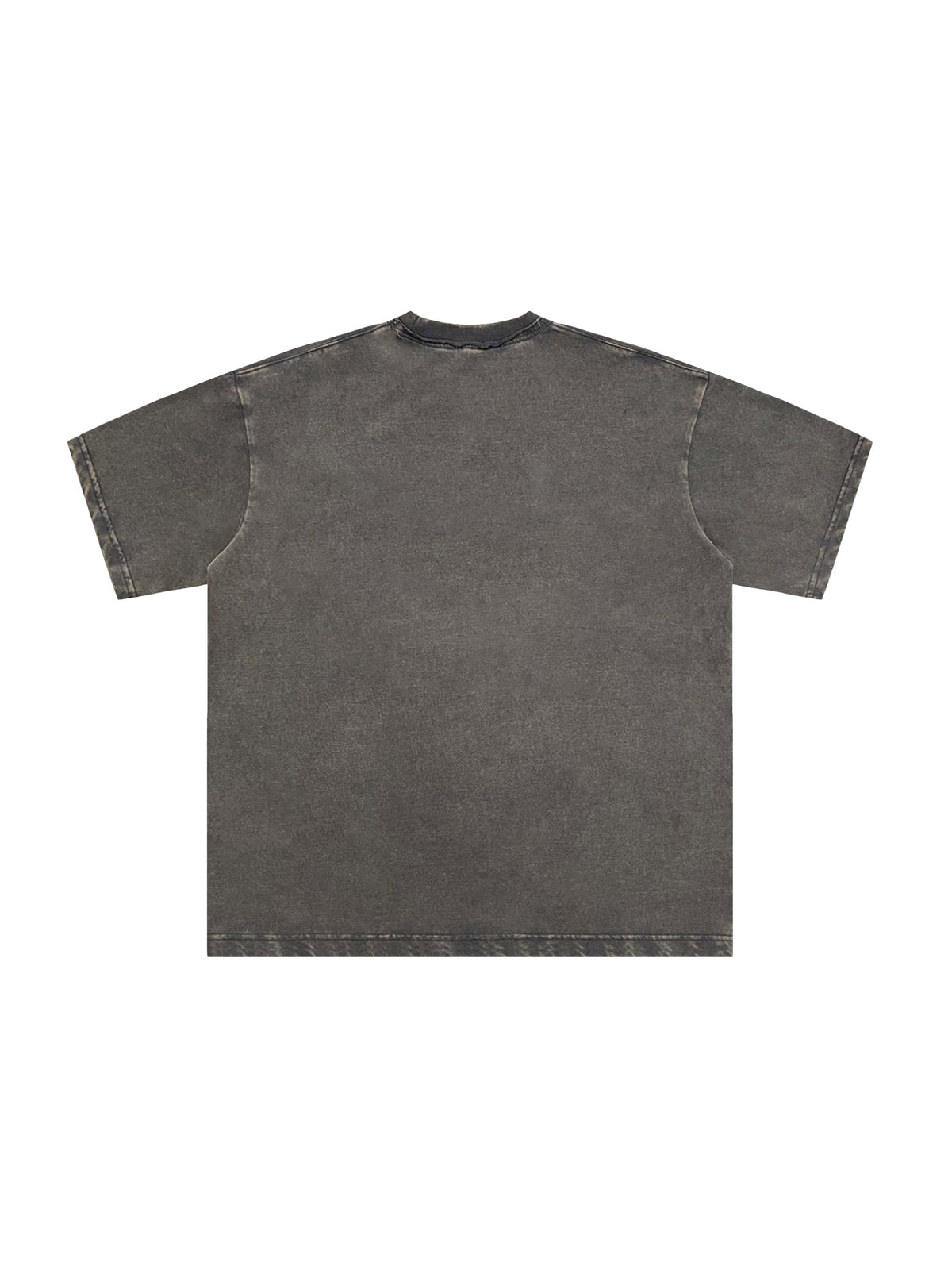 Snow Washed Raw-Edge Neckline T-Shirt – additional product view 10