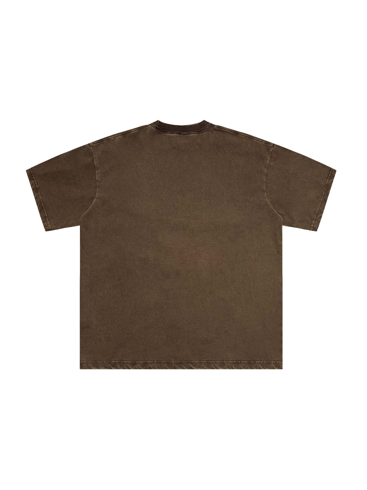 Snow Washed Raw-Edge Neckline T-Shirt – additional product view 14