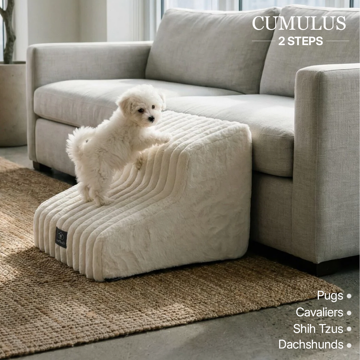 Injury Prevention Comfort Stairs by CloudPaws