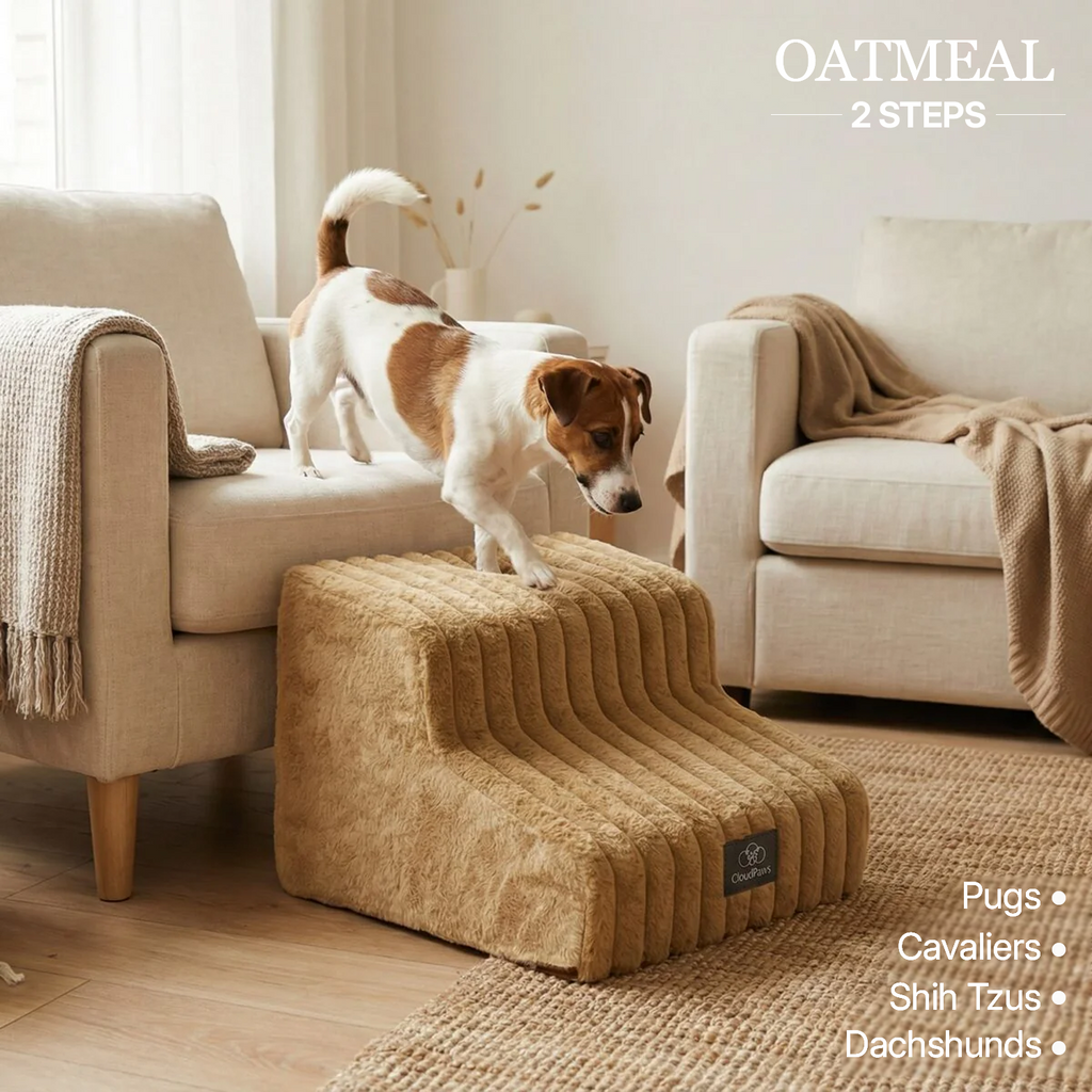 Injury Prevention Comfort Stairs by CloudPaws
