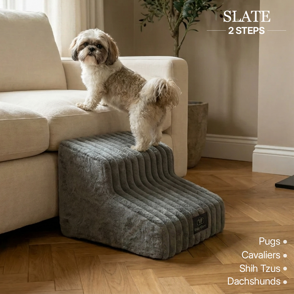 Injury Prevention Comfort Stairs by CloudPaws