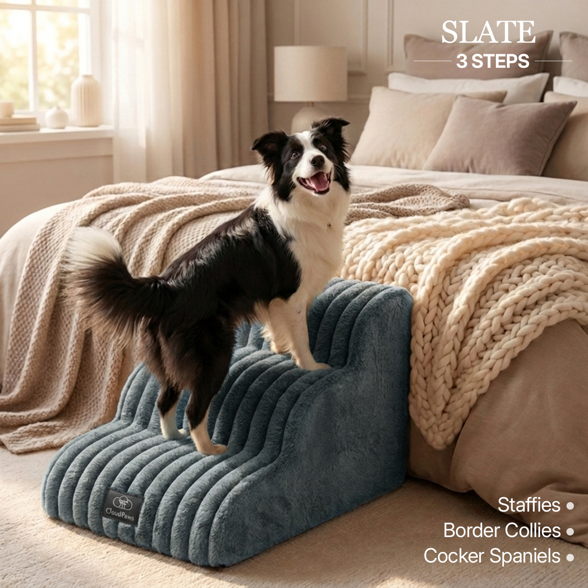Injury Prevention Comfort Stairs by CloudPaws