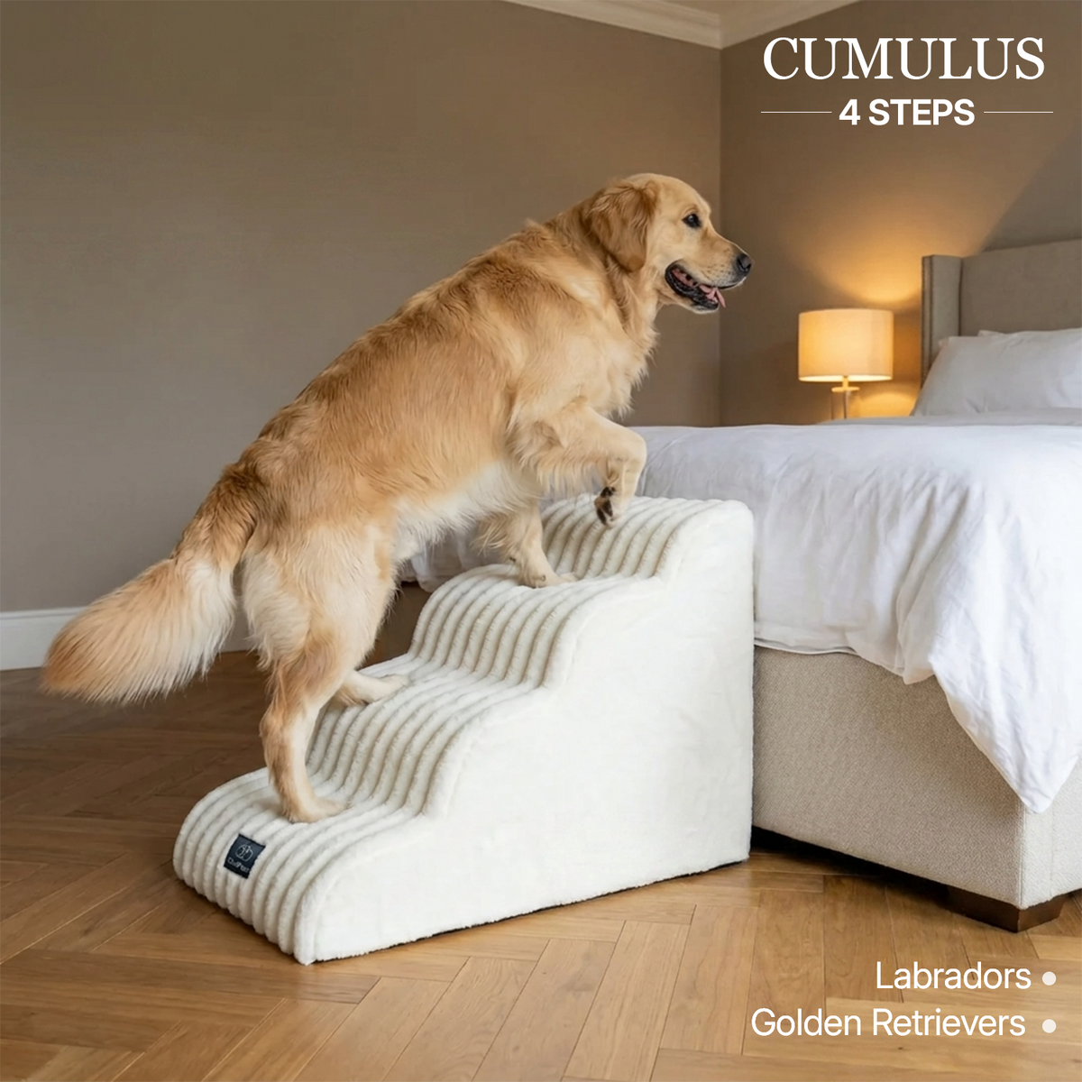 Injury Prevention Comfort Stairs by CloudPaws