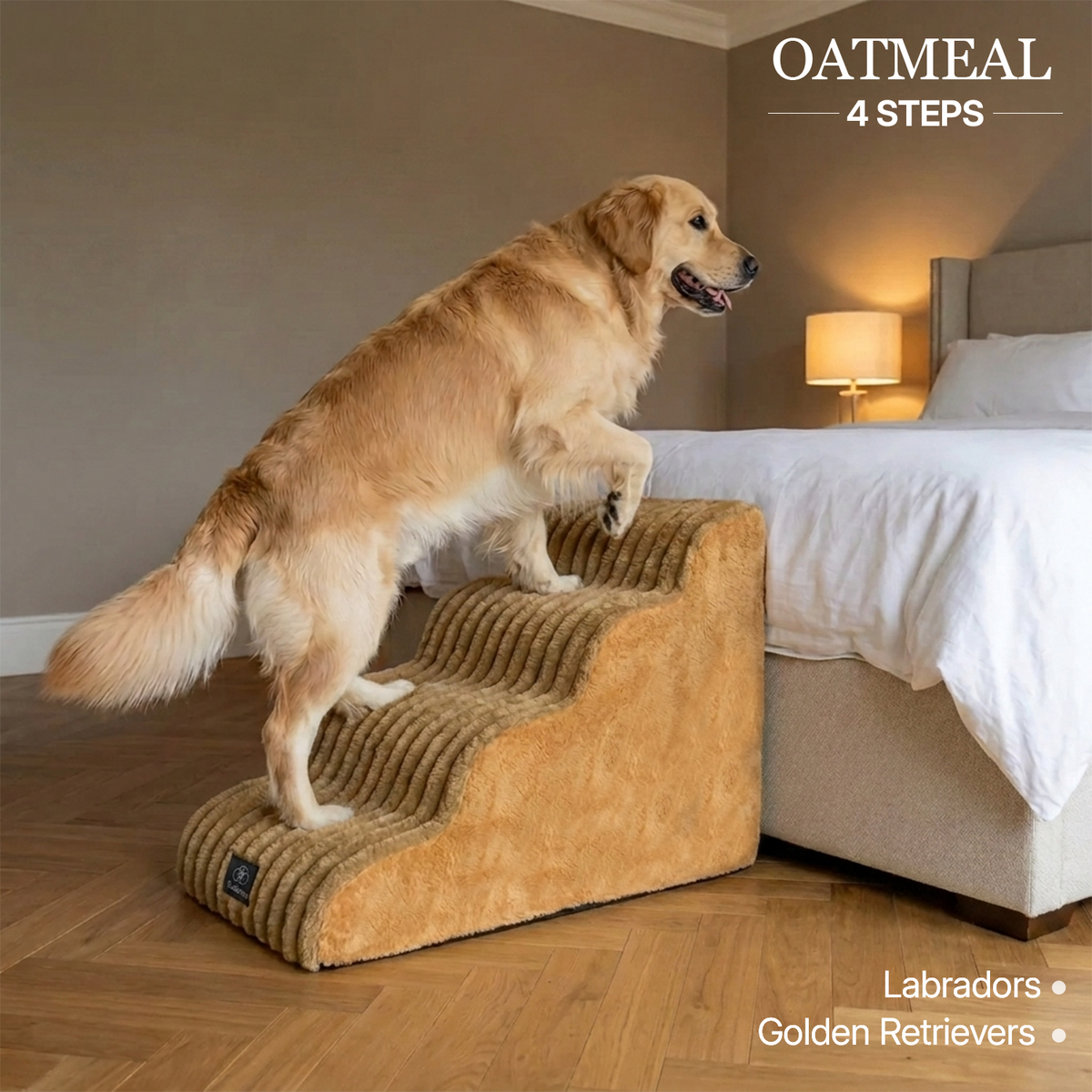 Injury Prevention Comfort Stairs by CloudPaws