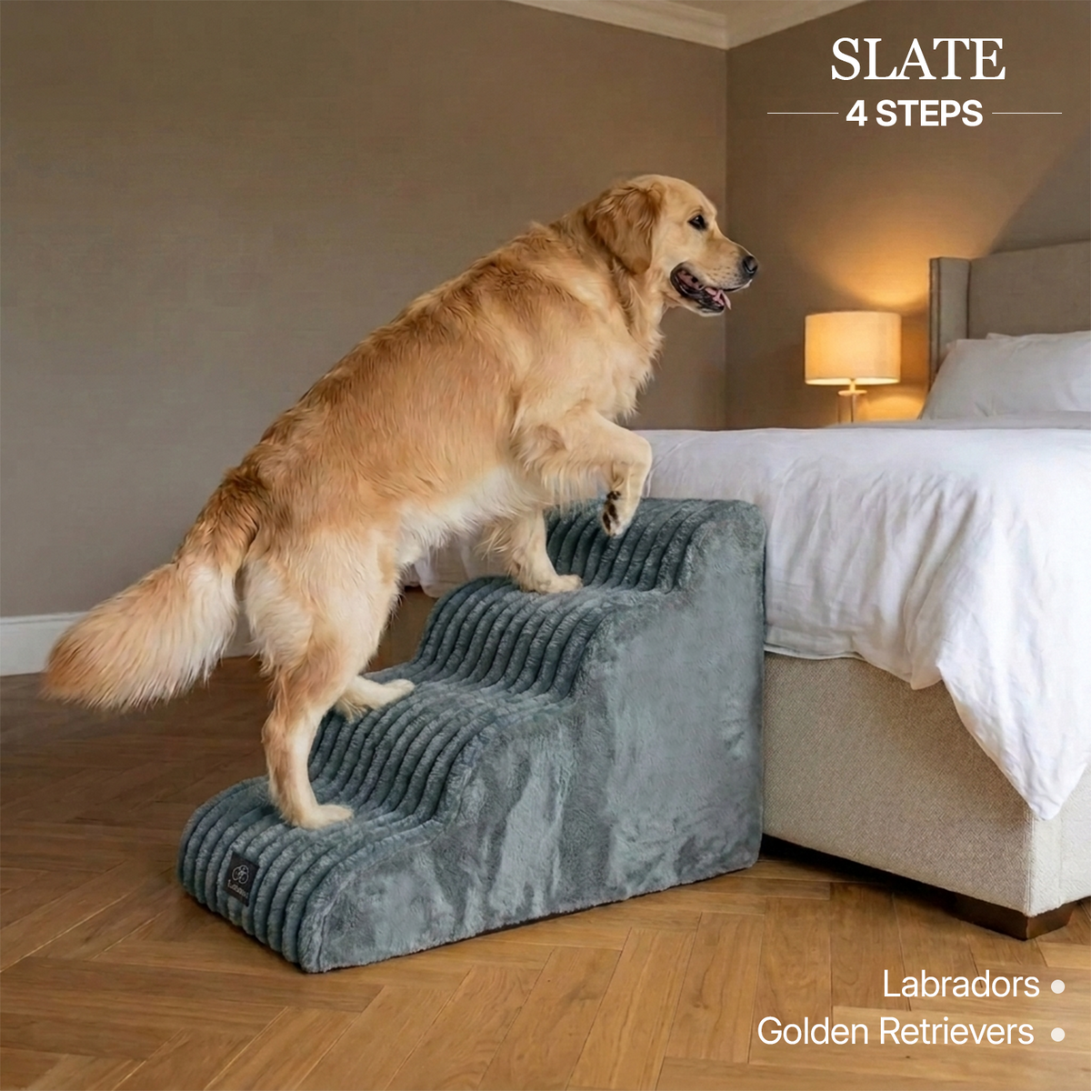 Injury Prevention Comfort Stairs by CloudPaws
