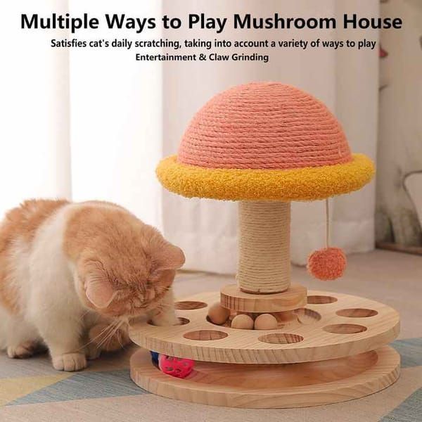 Cat Scratching & Climbing Frame - 30 × 24 cm - product photo 1 of 5