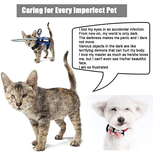 Blind Dog Protective Bumper Harness - Blue - M — product image 6 of 8
