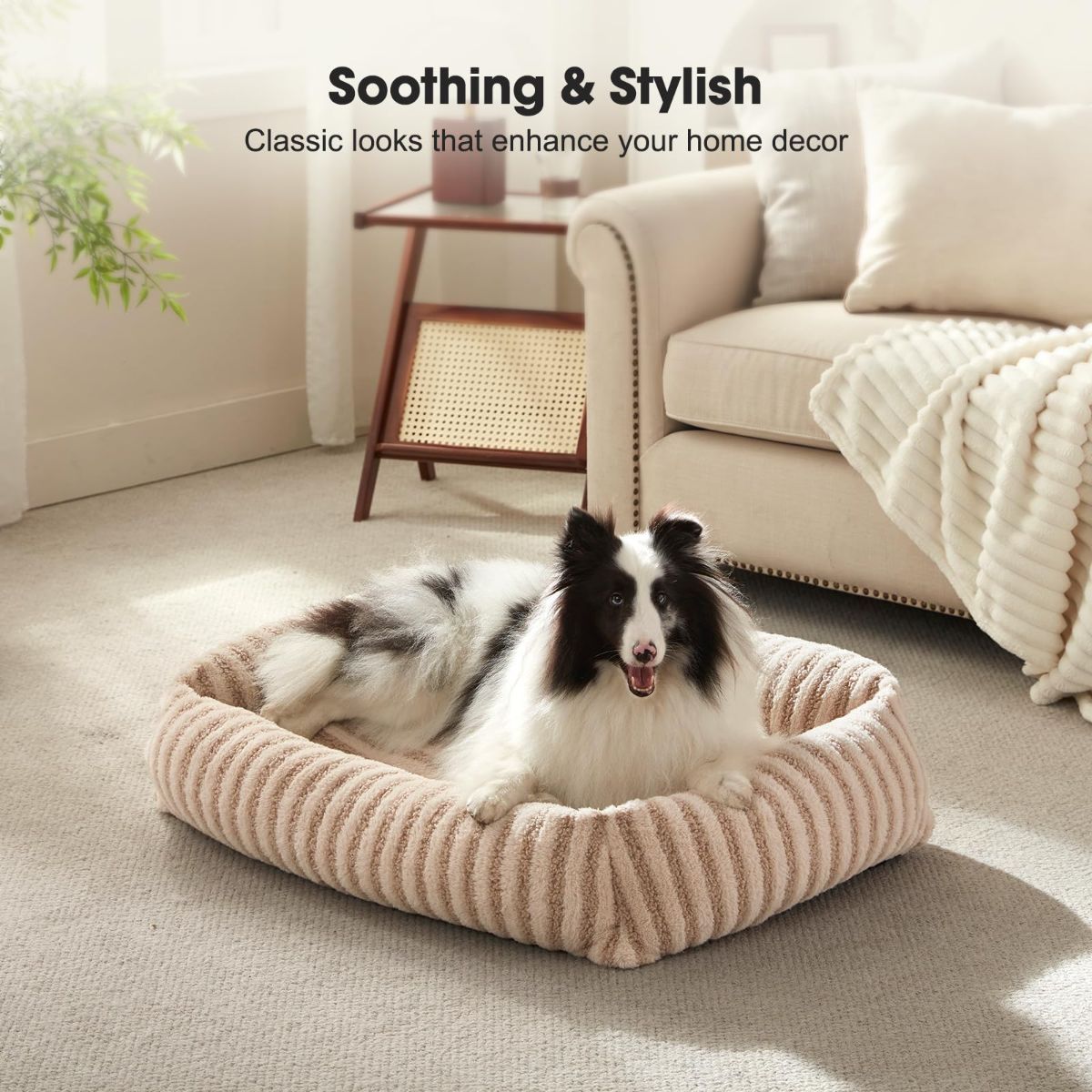 Soft Velvet-Feel Dog Bed - White - 20in × 19in — product image 6 of 8