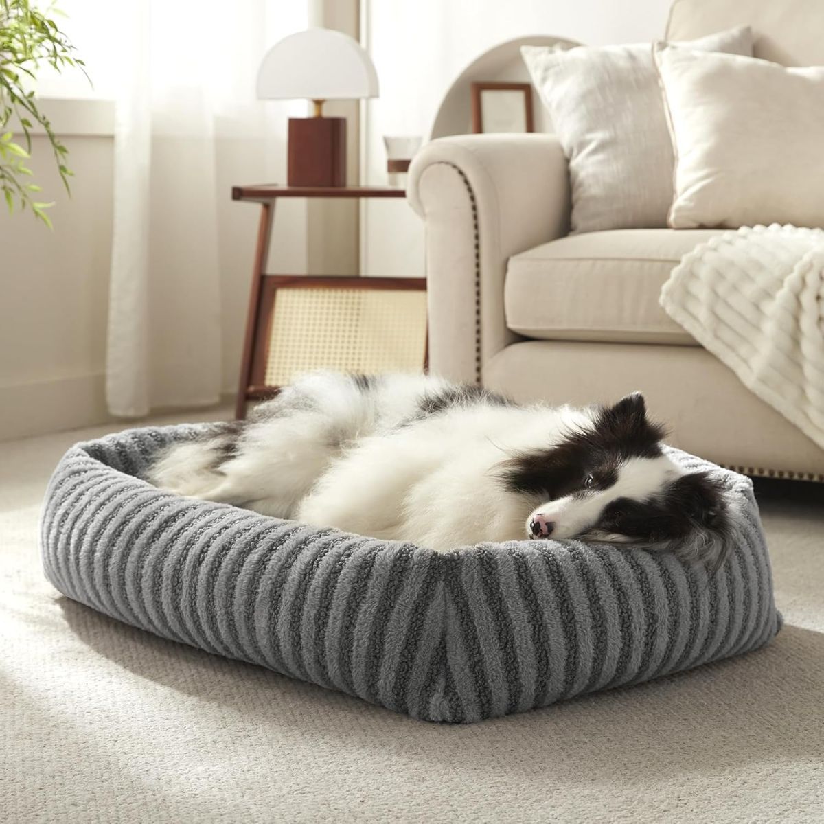 Soft Velvet-Feel Dog Bed - White - 20in × 19in — product image 8 of 8