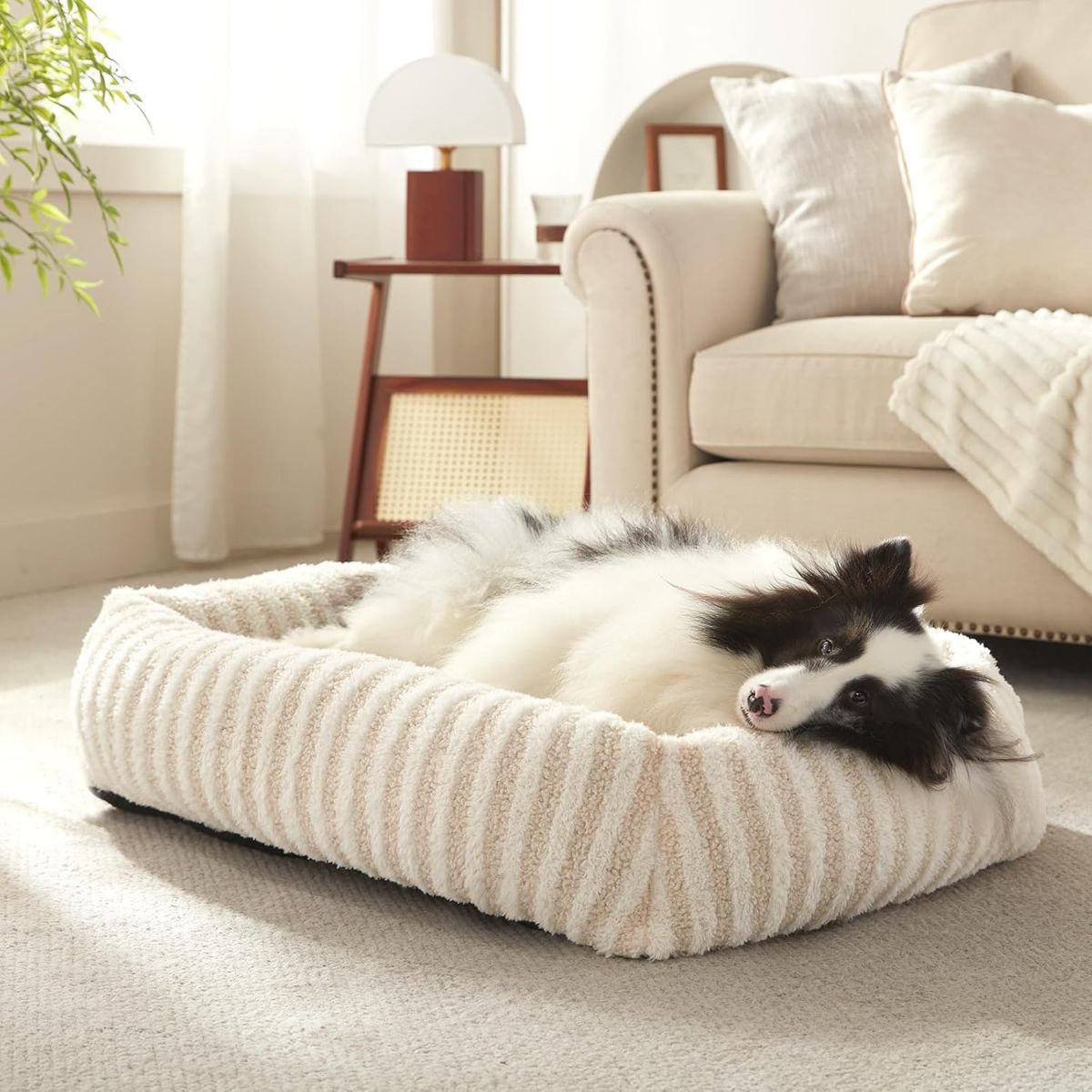Soft Velvet-Feel Dog Bed - White - 36in × 27in — product image 1 of 8