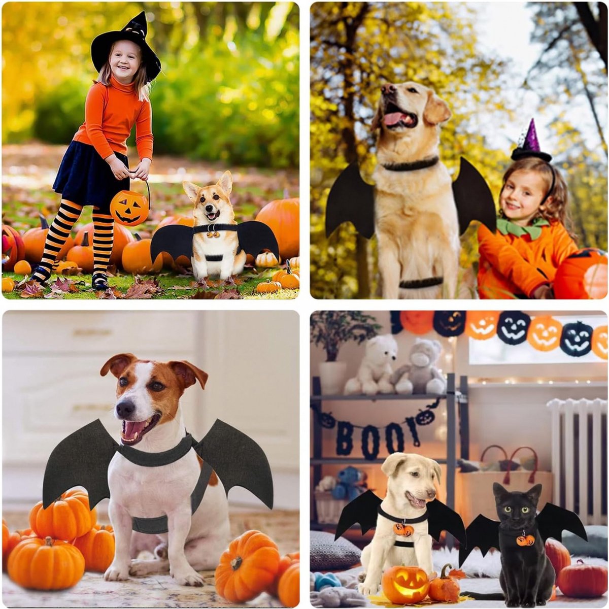 Halloween Bat Wings & Pumpkin Bells Pet Costume - M — product image 5 of 5