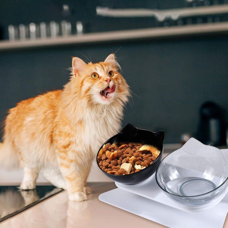 15° Raised Double Pet Feeding Bowls with Stand - product photo 3 of 4