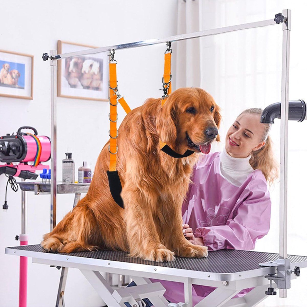 3-Piece Adjustable Dog Grooming Restraint Set - Orange - product photograph 5