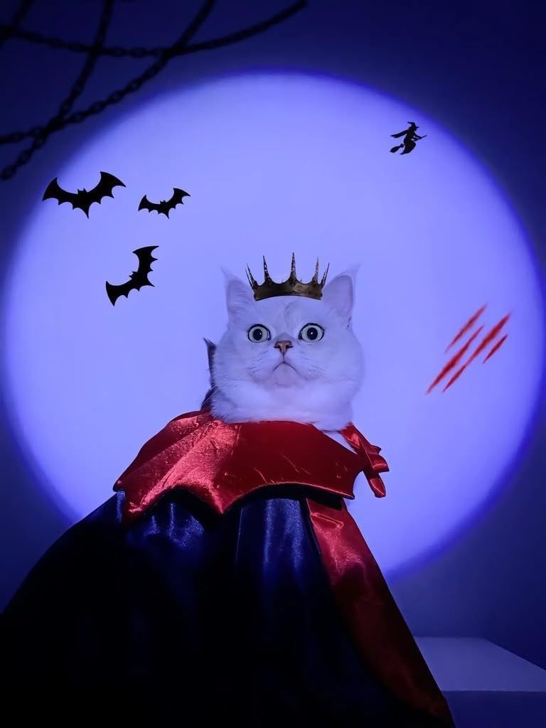 Red & Black Vampire Cape Pet Costume – product image 5 of 6