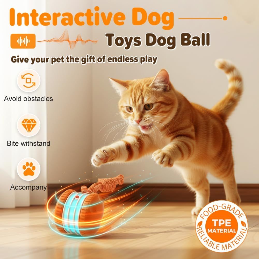 Orange Automatic Rolling Dog Ball with Rope - USB-C, Two Modes - product photo 2 of 6