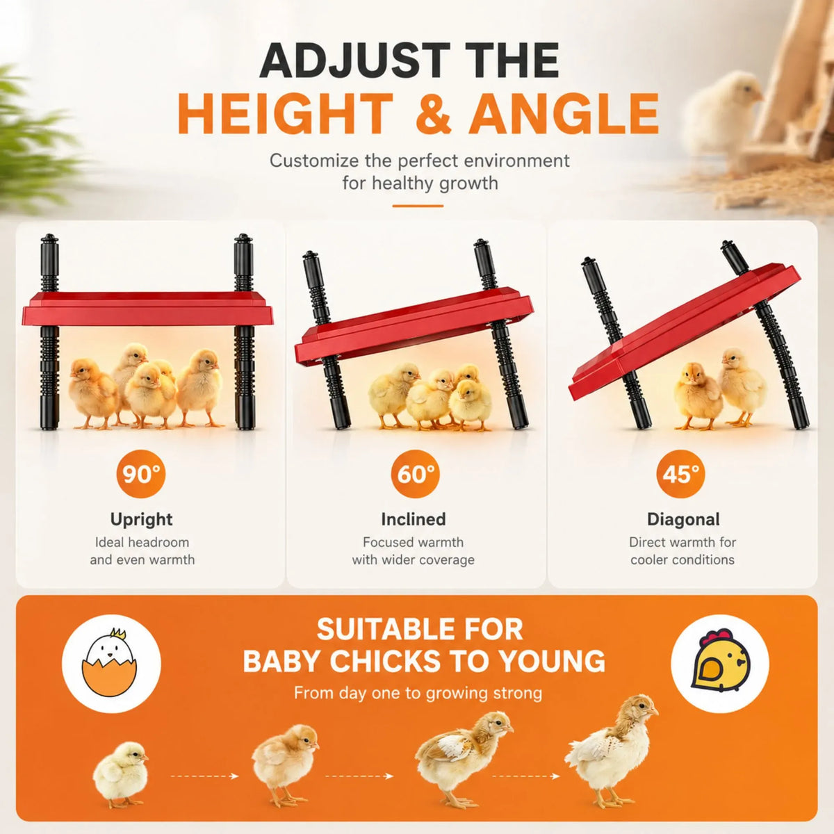 CARLA HOME Adjustable Chick Brooder Heating Plate - Red, 70 W