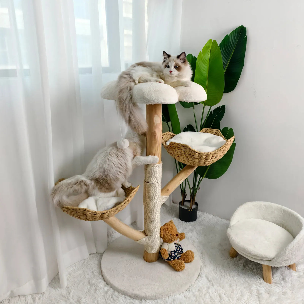 Real Wood Cat Tree Tower in Natural Wood for Indoor Cats Up to 10KG, 60x111cm - product photo 2 of 10