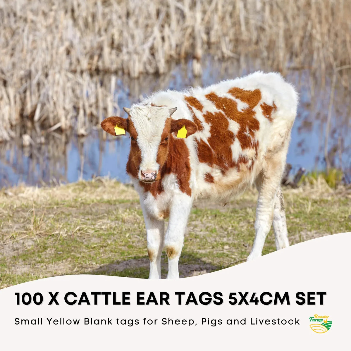Blank Livestock Ear Tags with Pins, 100-Pack, Small Yellow, 5 × 4 cm