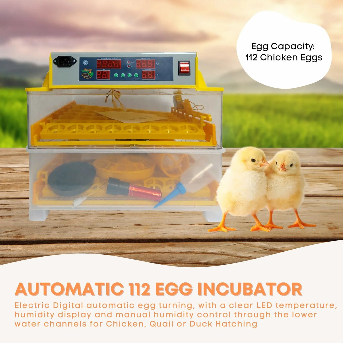 Rooster Farms Automatic Egg Incubator with Accessories, 112-Egg