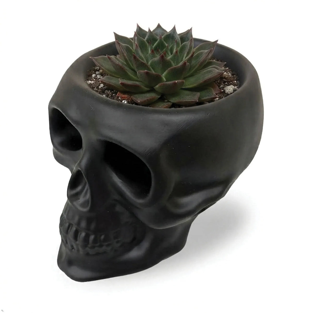 Urban Attitude Skull Statue - Matte Black