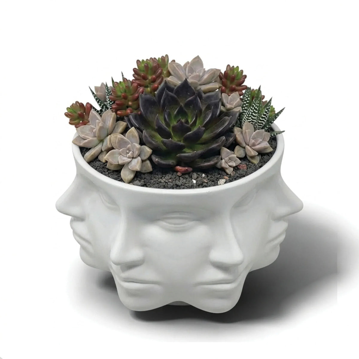 Urban Attitude Face Planter - Matte White
