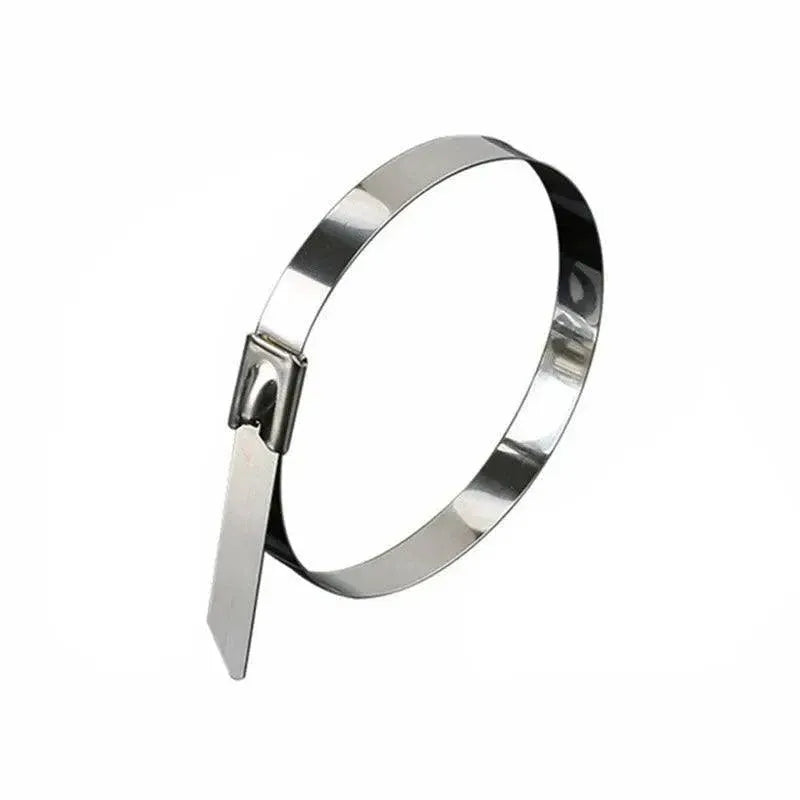 20X Stainless Steel Cable Ties S304 Marine Grade Zip Strap Locking Wrap 100-800Mm - 4.6x350mm