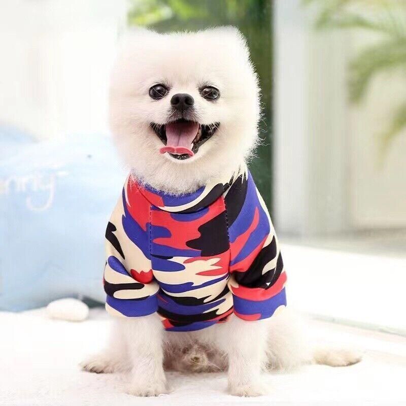 Plush Pet Winter Sweater - Small, Green Lemon