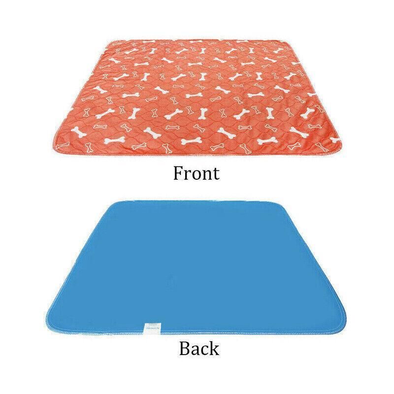 Reusable Orange Puppy Training & Absorbent Mat - 40 × 60 cm